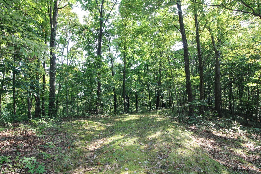 Post Boy Road Newcomerstown, OH 43832 - Photo 18 of 27 Gallery Image 18