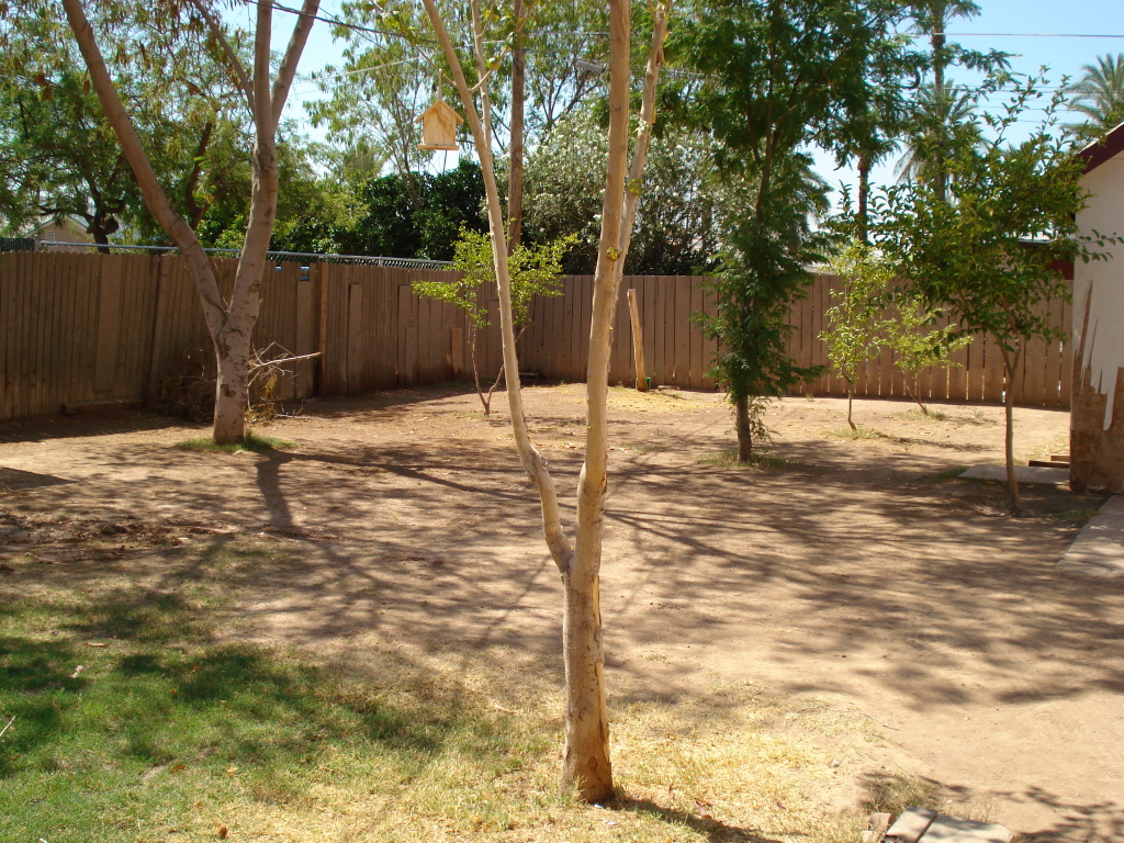 2905 West Monte Vista Road Phoenix, AZ 85009 - Photo 2 of 13 backyard