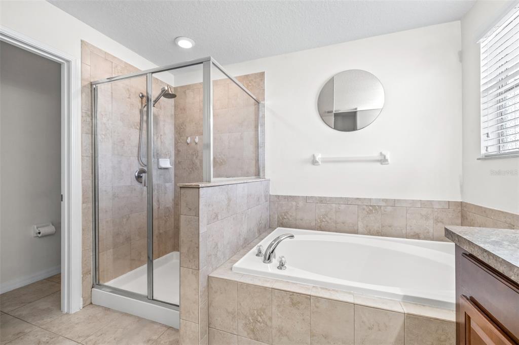 16713 Scenic Hill Way Wimauma, FL 33598 - Photo 28 of 52 a bathroom with a tub a mirror and a shower