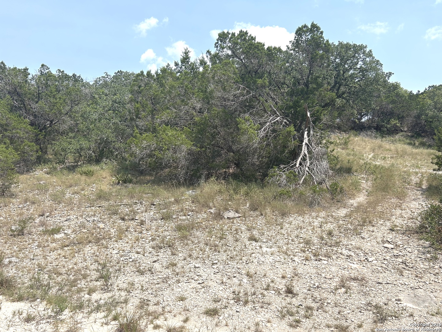 16 Contour Drive Spring Branch, TX 78070 - Photo 1 of 9 a view of a yard with a tree