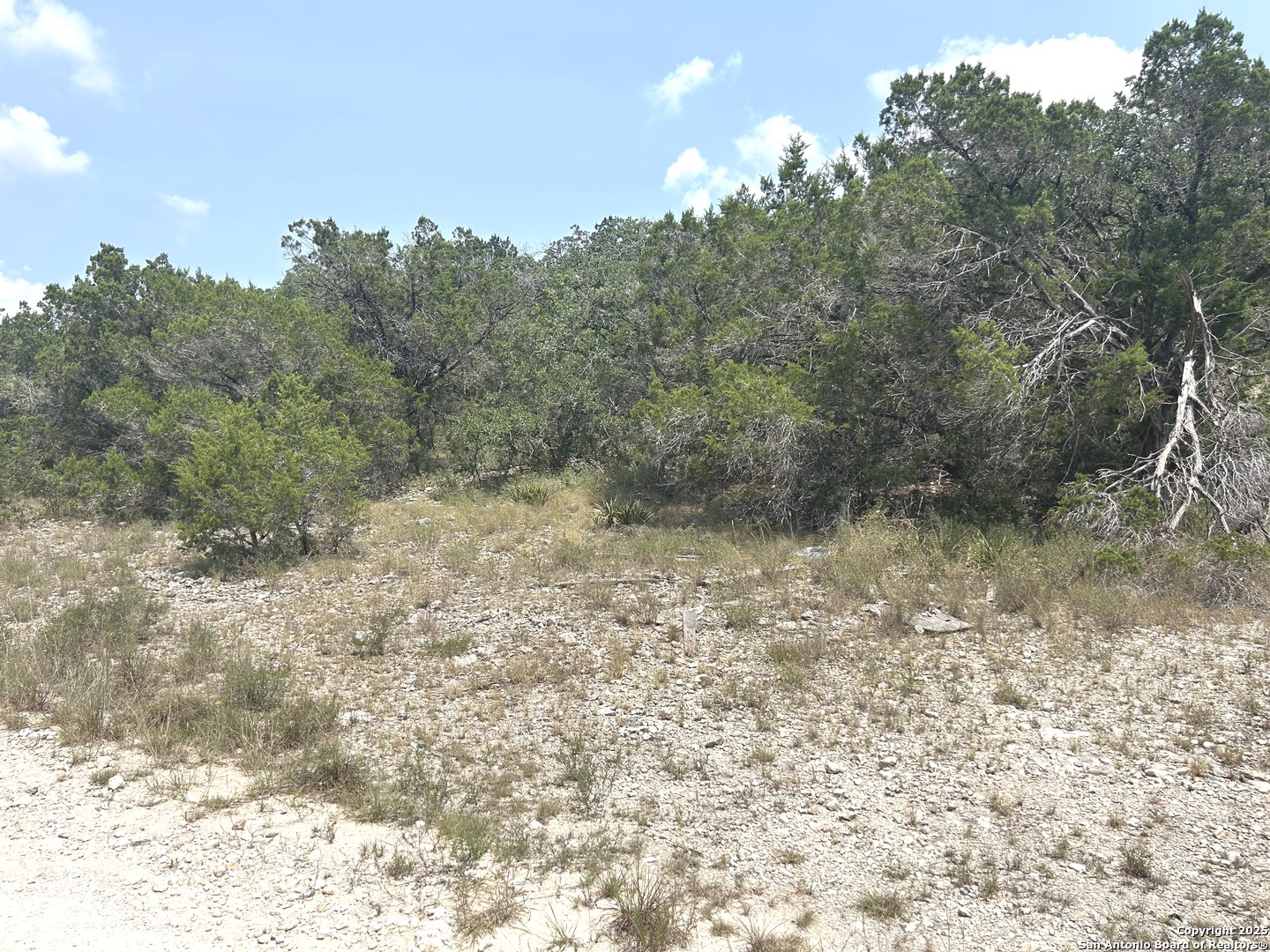 16 Contour Drive Spring Branch, TX 78070 - Photo 2 of 9 a view of a yard with a tree