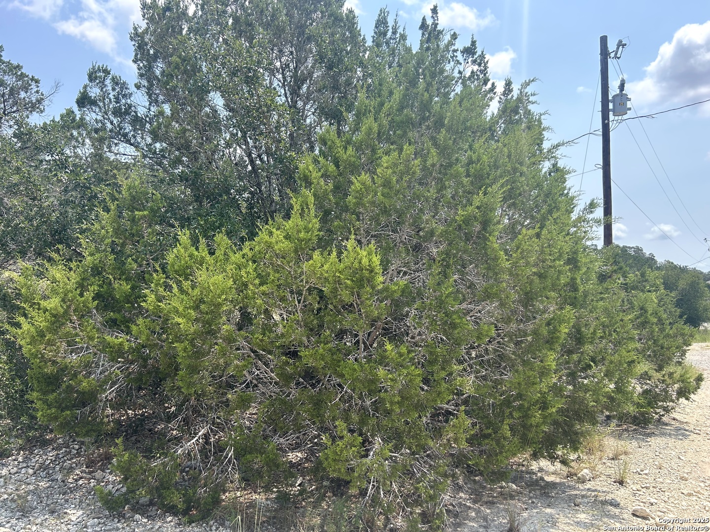 16 Contour Drive Spring Branch, TX 78070 - Photo 3 of 9 a view of a forest with a tree