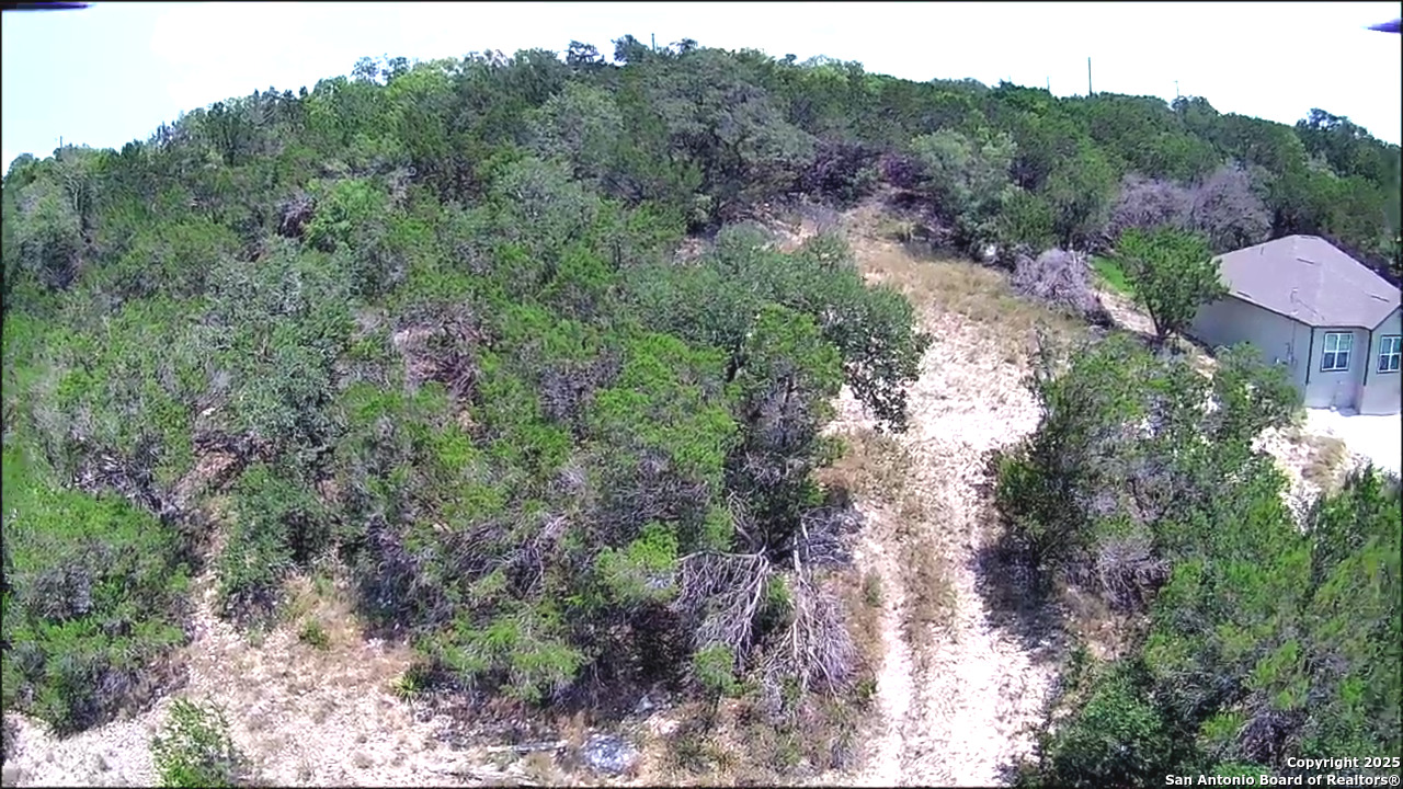 16 Contour Drive Spring Branch, TX 78070 - Photo 5 of 9 a view of a forest with a street