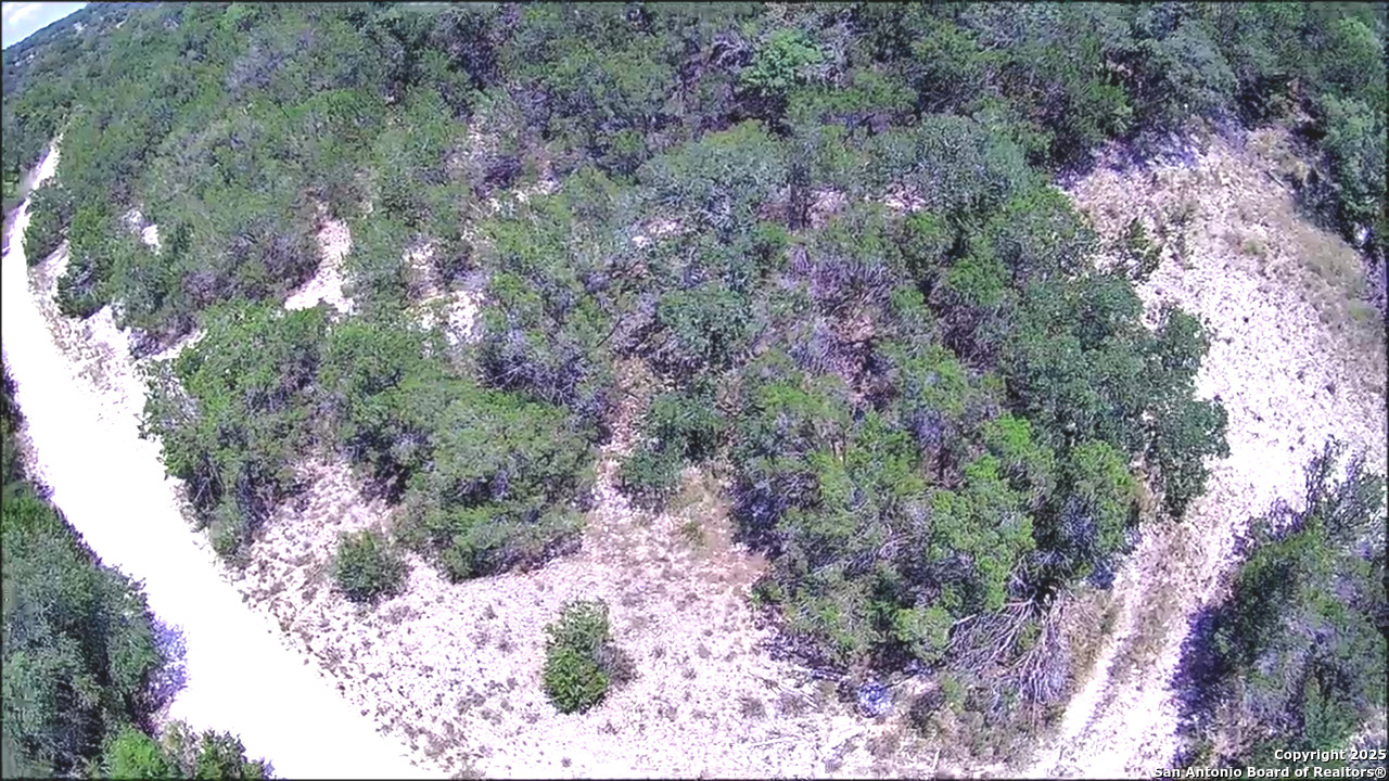16 Contour Drive Spring Branch, TX 78070 - Photo 7 of 9 a view of a forest with a tree