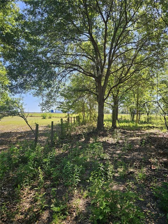 0 Southwest Mixson Road Lake City, FL 32024 - Photo 23 of 34 Gallery Image 23