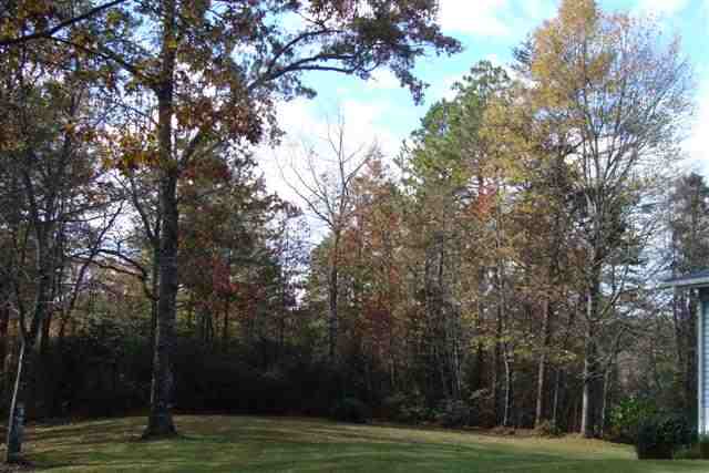 519 Brookside Acres Road Mountain Rest, SC 29664 - Photo 16 of 16 Gallery Image 16