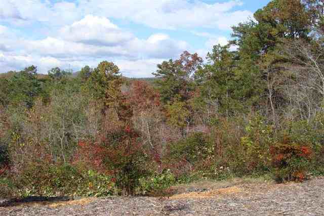 519 Brookside Acres Road Mountain Rest, SC 29664 - Photo 5 of 16 Gallery Image 5