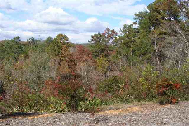 519 Brookside Acres Road Mountain Rest, SC 29664 - Photo 6 of 16 Gallery Image 6