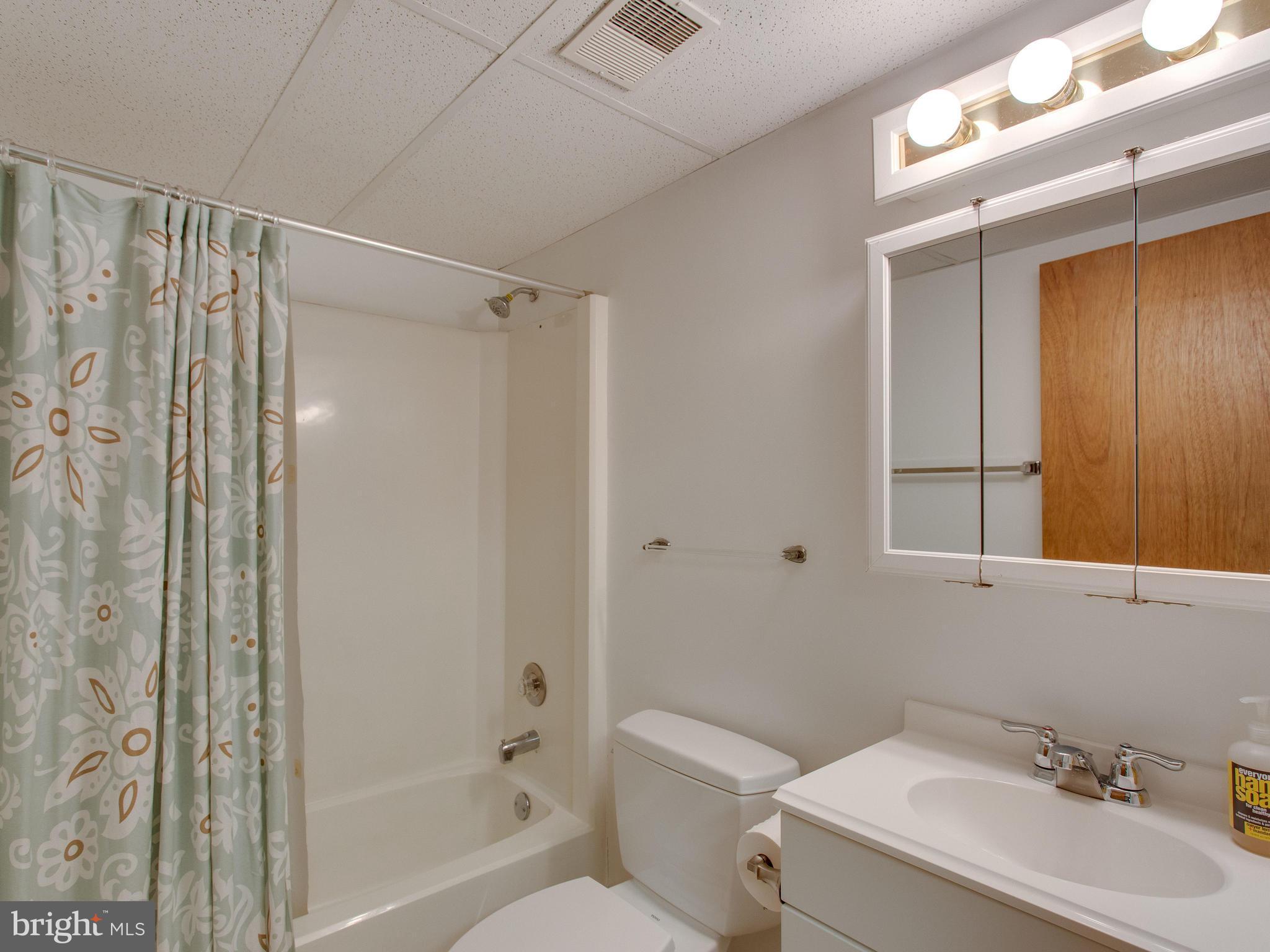 7209 Barry Road Alexandria, VA 22315 - Photo 18 of 30 Bath