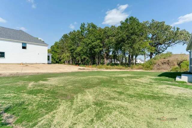 a view of a tree in a yard