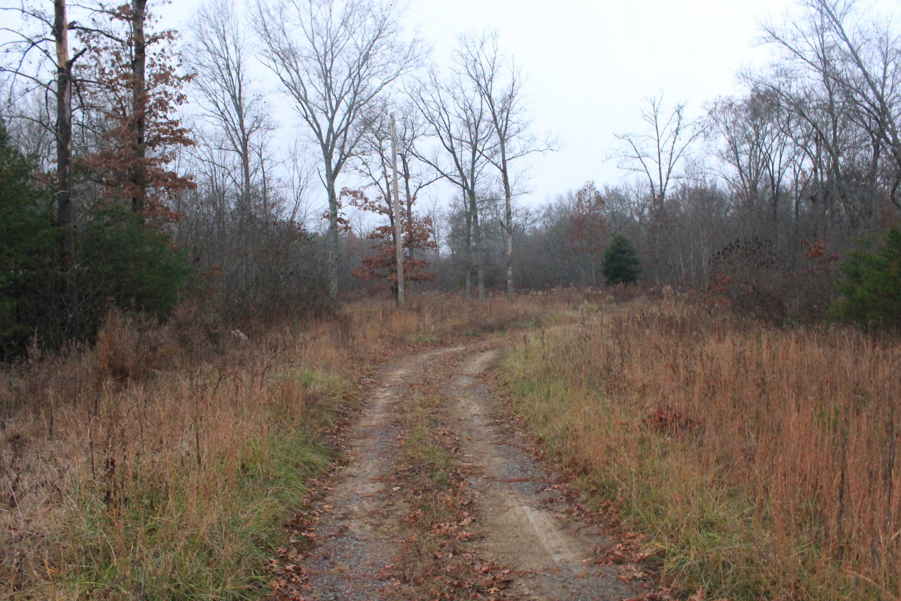 131 Pine Road Pikeville, TN 37367 - Photo 13 of 14 IMG_6810