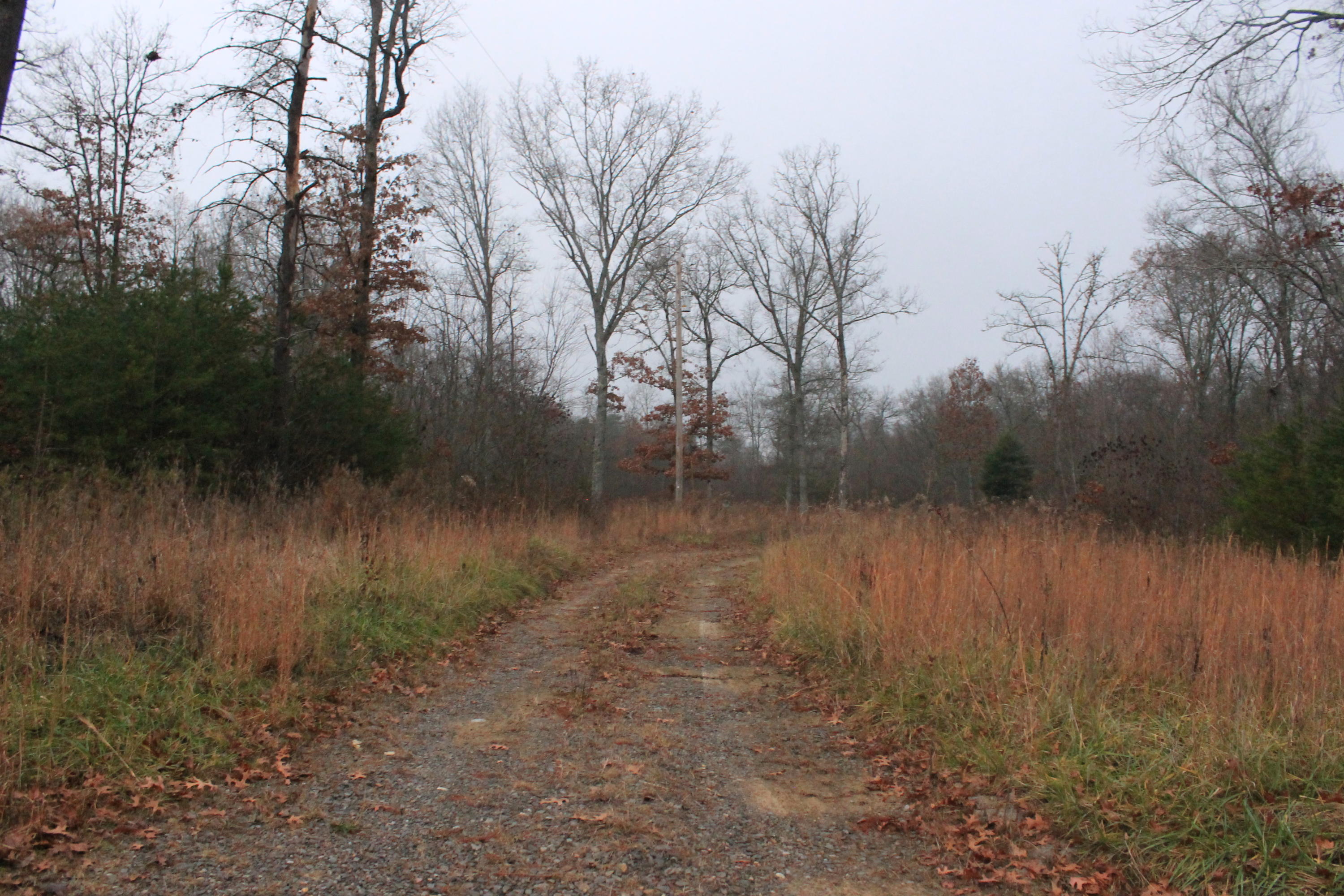 131 Pine Road Pikeville, TN 37367 - Photo 14 of 14 IMG_6816
