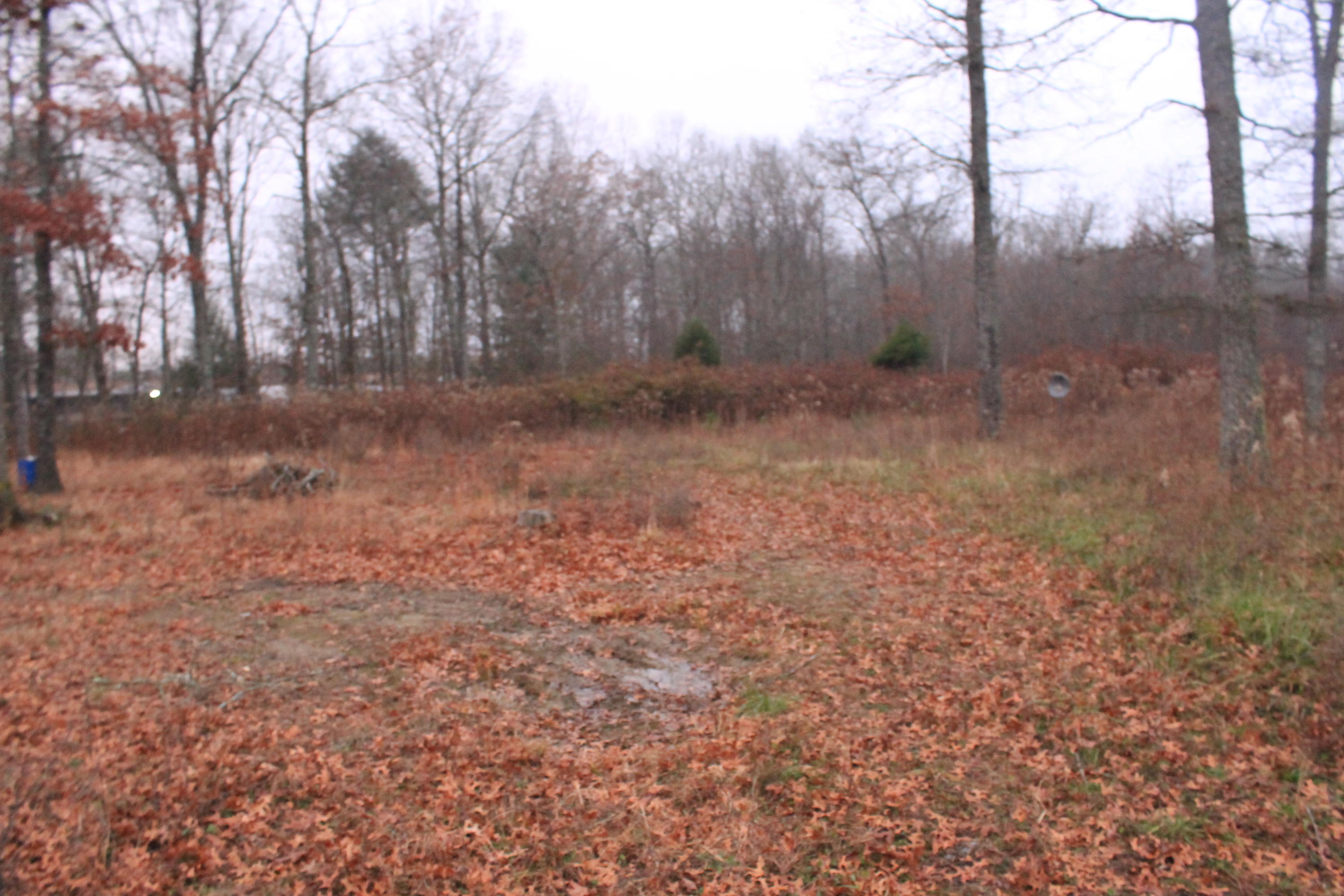 131 Pine Road Pikeville, TN 37367 - Photo 3 of 14 IMG_6800