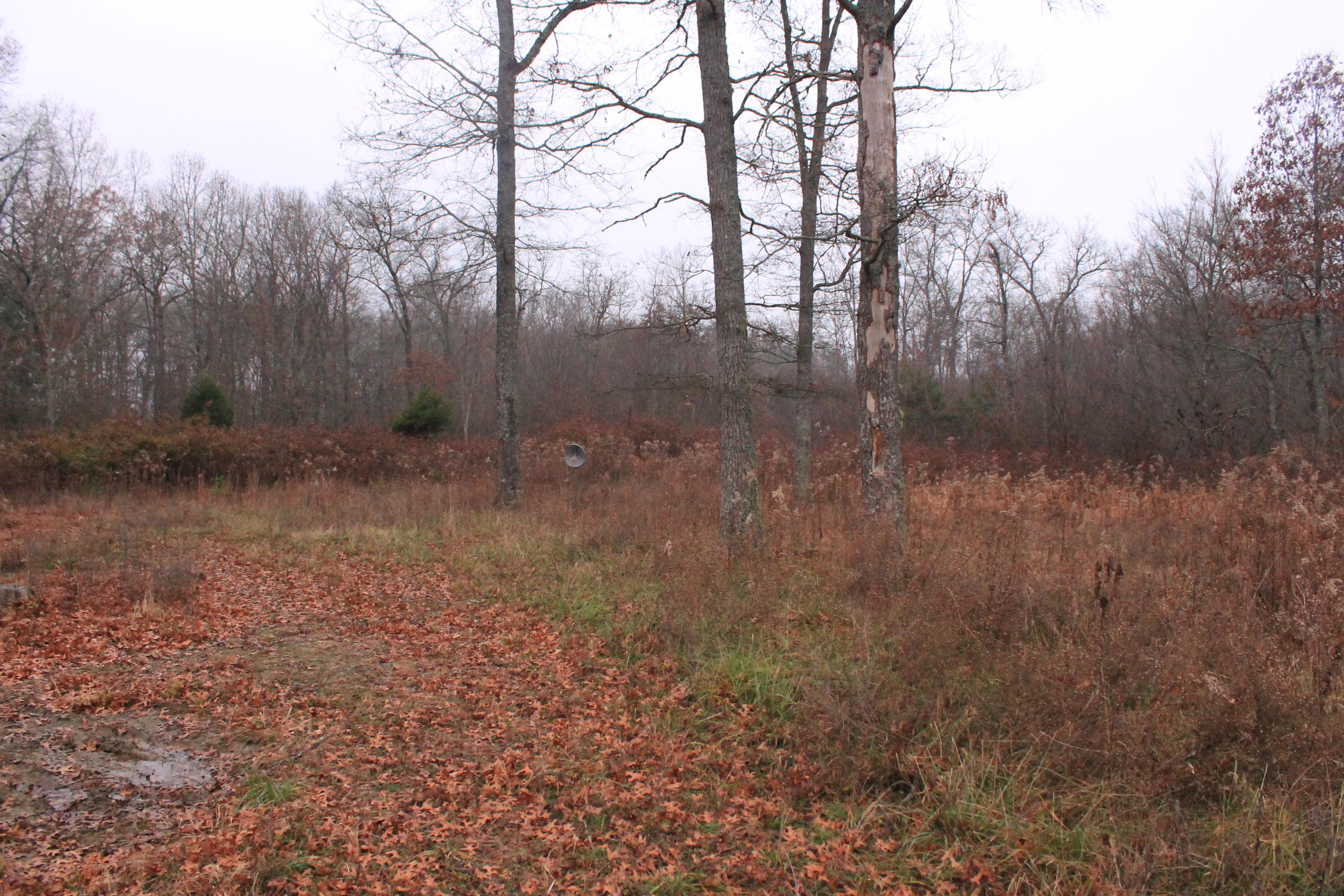 131 Pine Road Pikeville, TN 37367 - Photo 5 of 14 IMG_6798
