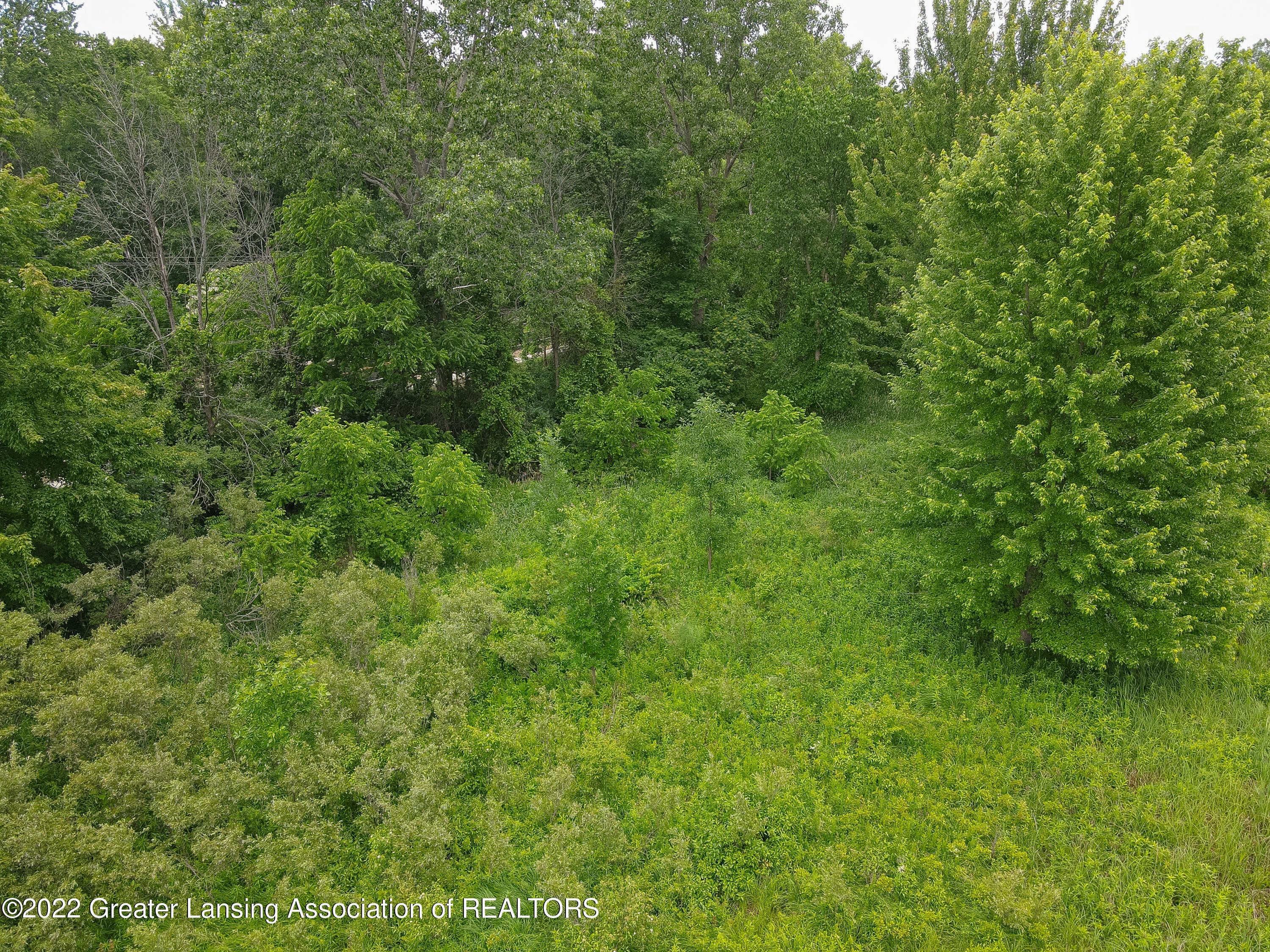 0 East Herbison Road Dewitt, MI 48820 - Photo 13 of 19 VL_Herbison_Rd-13