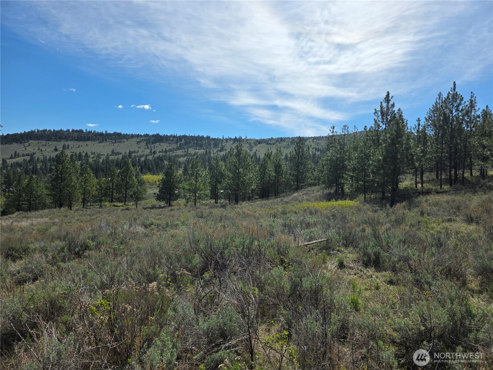144 Reevas Basin Road Tonasket, WA 98855 - Photo 4 of 21