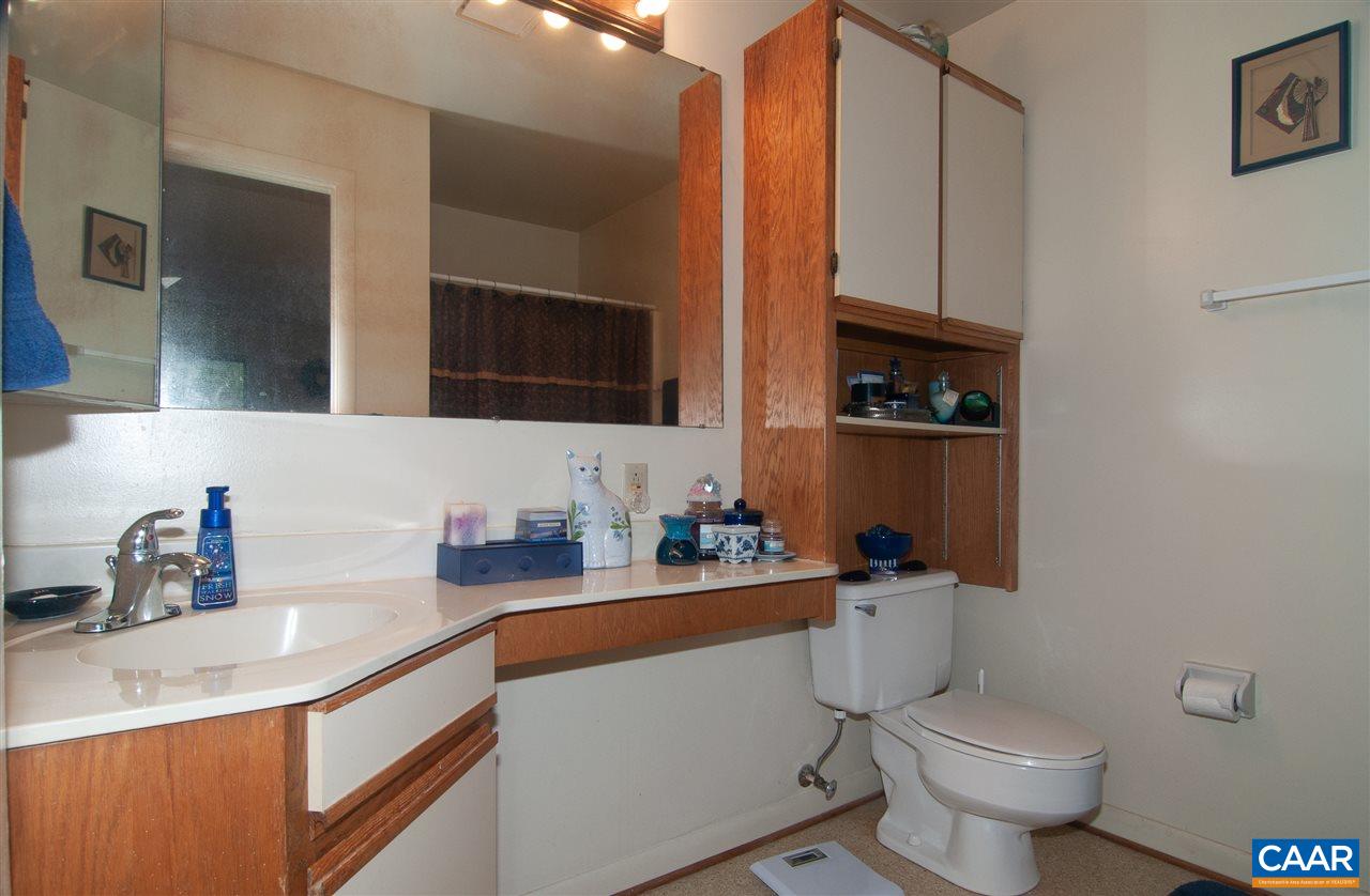 101-8 Turtle Creek Road Charlottesville, VA 22901 - Photo 17 of 21 a bathroom with a sink a toilet and mirror