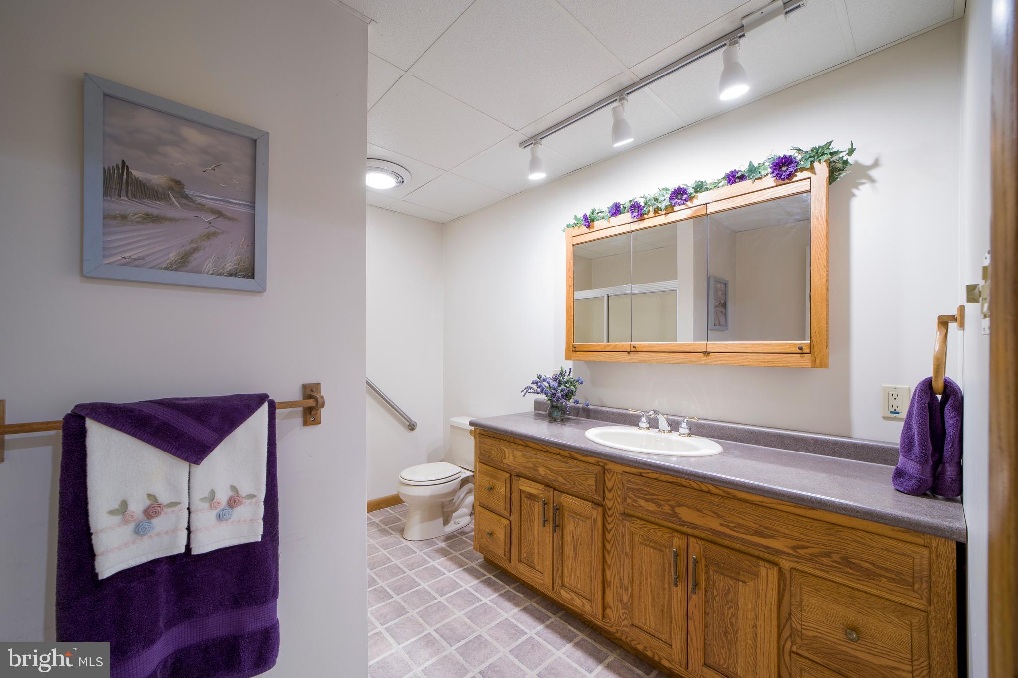 15 Spring Lake Avenue Sewell, NJ 08080 - Photo 25 of 32 Lower Level- Full bathroom w/ tub/shower