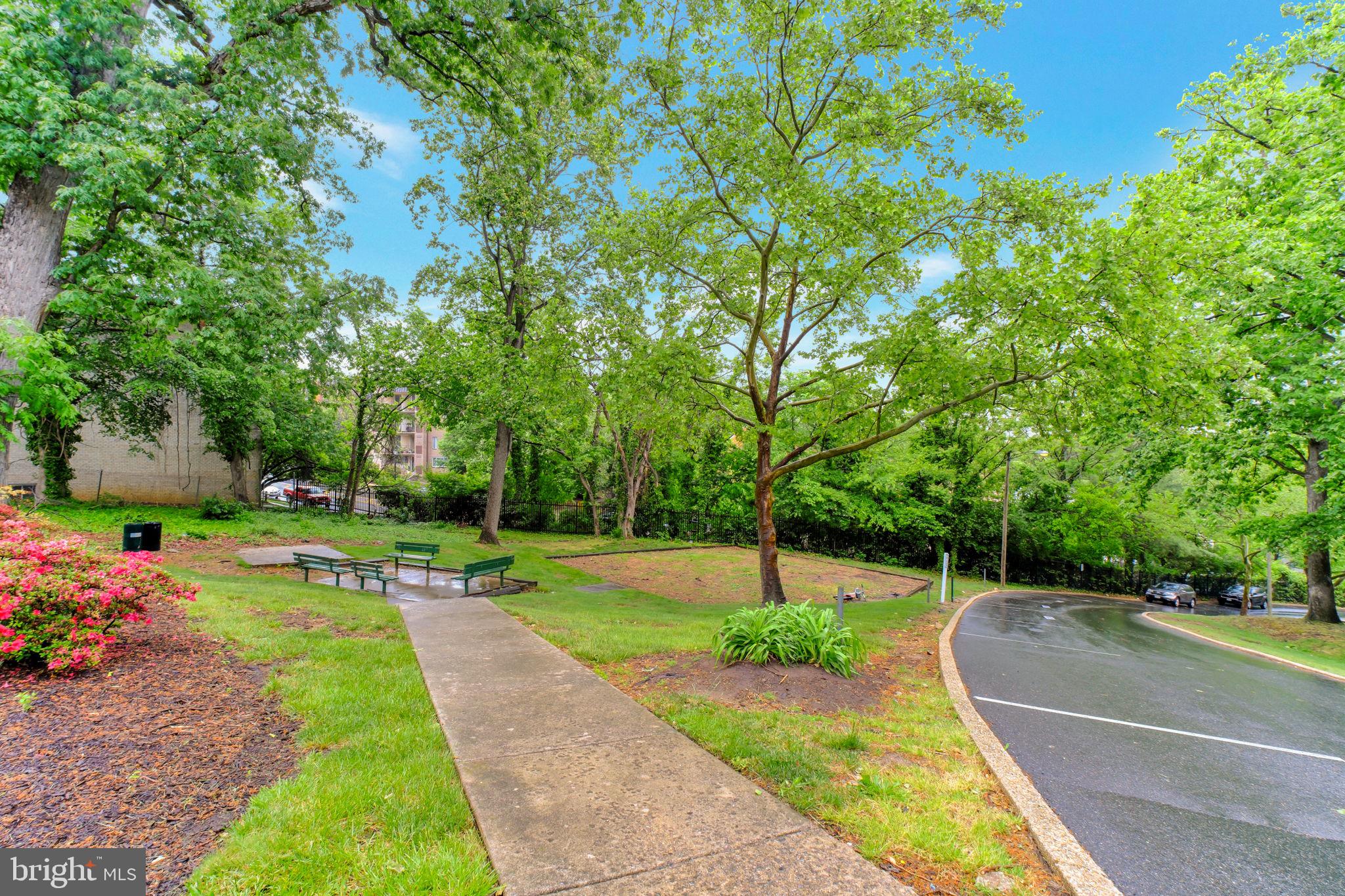5101 8th Road South, Unit 102 Arlington, VA 22204 - Photo 16 of 19 a view of a park with plants and trees