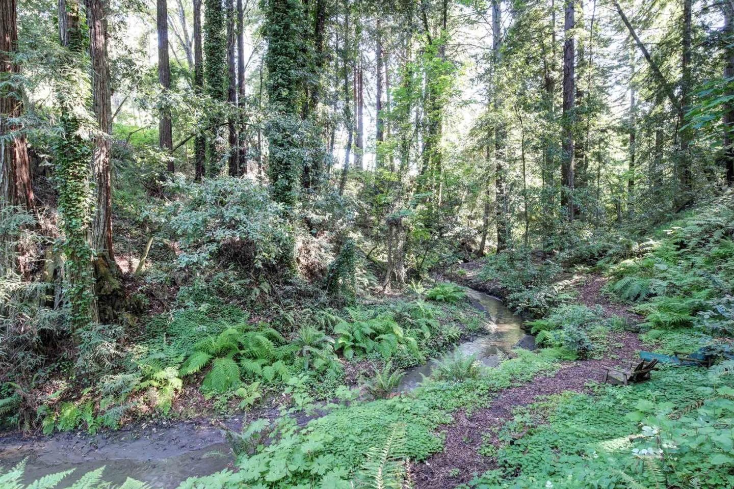 450 Bear Valley Road Aptos, CA 95003 - Photo 43 of 46 a view of forest