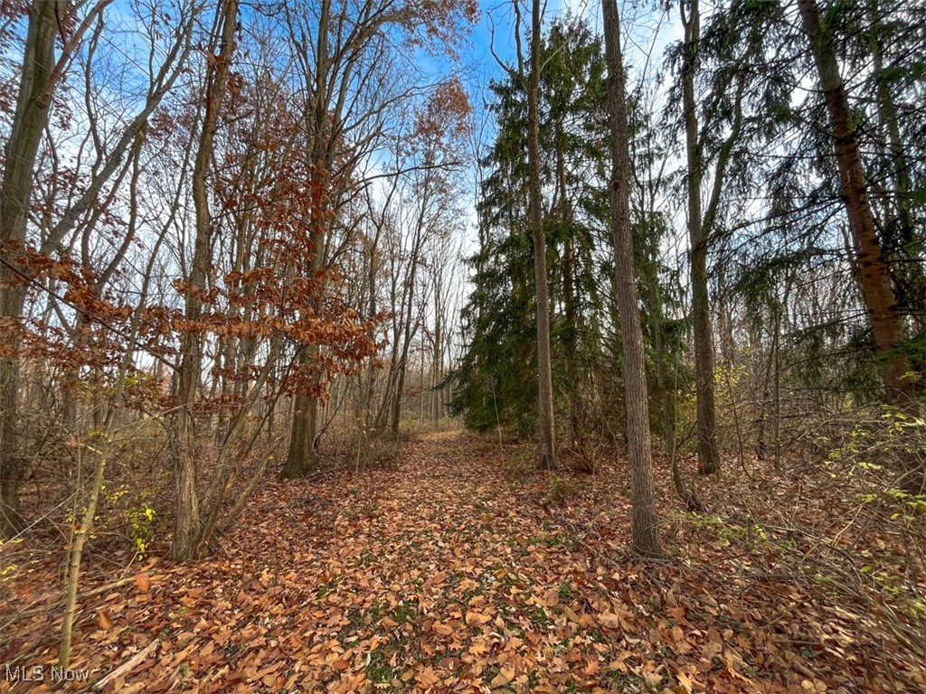 0 Harvey Circle Rittman, OH 44270 - Photo 13 of 35 View of local wilderness