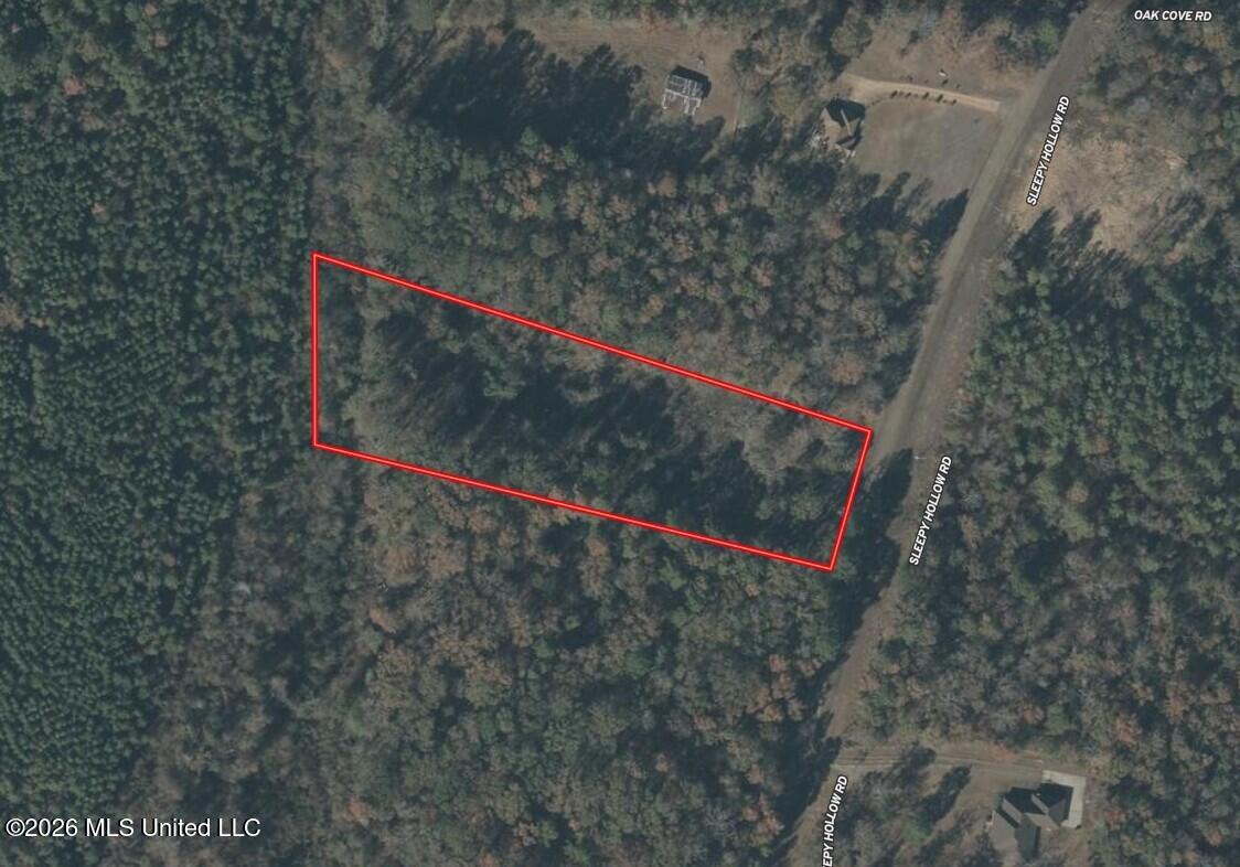 Sleepy Hollow Road Terry, MS 39170 - Photo 10 of 11 Aerial Map