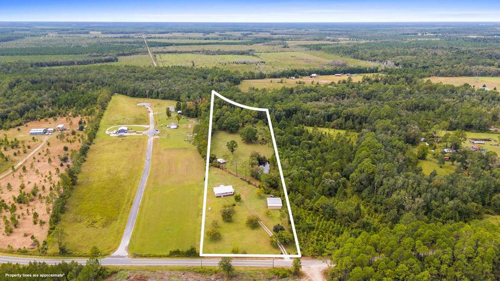 821 Mace Martin Road Wewahitchka, FL 32465 - Photo 17 of 39
