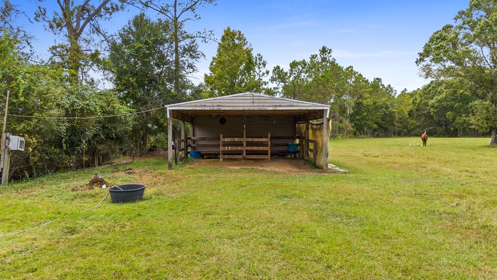 821 Mace Martin Road Wewahitchka, FL 32465 - Photo 27 of 39