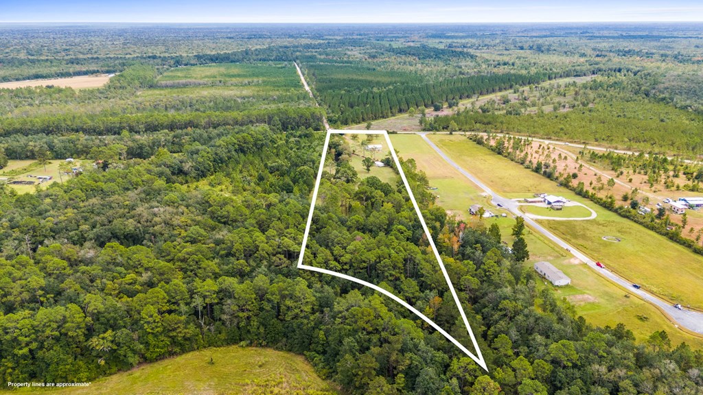 821 Mace Martin Road Wewahitchka, FL 32465 - Photo 30 of 39