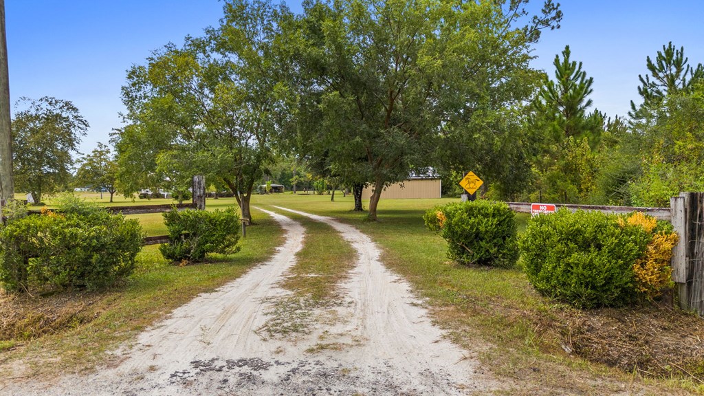 821 Mace Martin Road Wewahitchka, FL 32465 - Photo 7 of 39