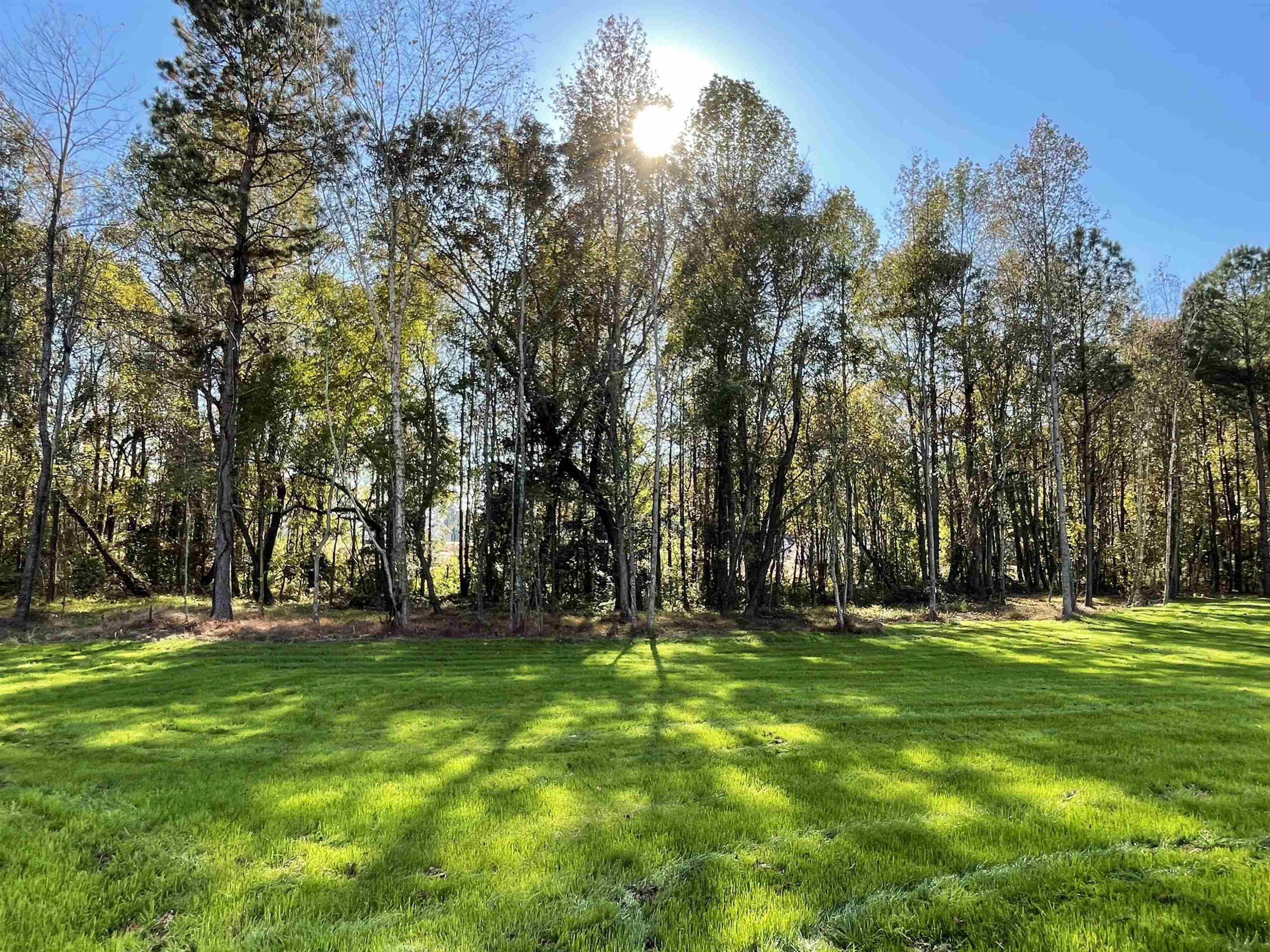 496 Roberts Road Willow Spring, NC 27592 - Photo 15 of 15 a garden view with trees