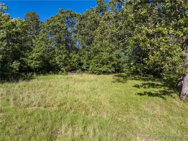 $29,000 | Lot #170 Bogey Lane, Gravois Mills, MO 65037