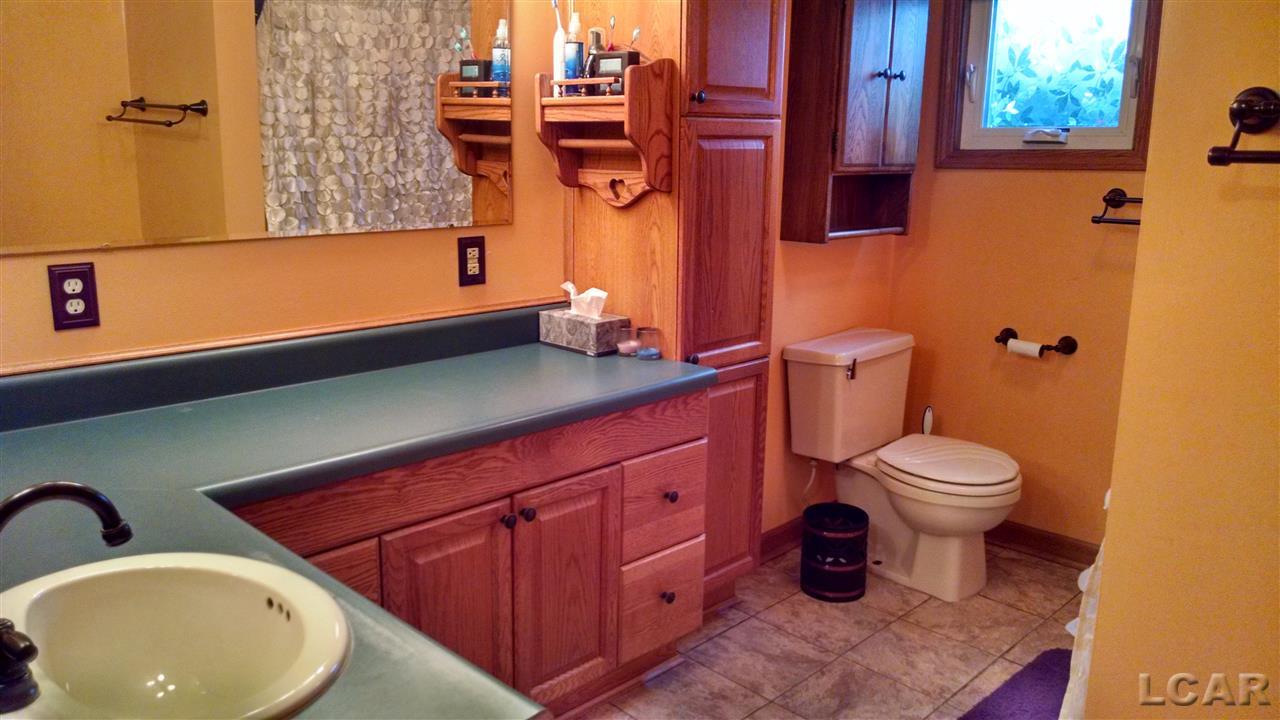 4194 Sycamore Road Palmyra, MI 49268 - Photo 11 of 17 Generous Bath