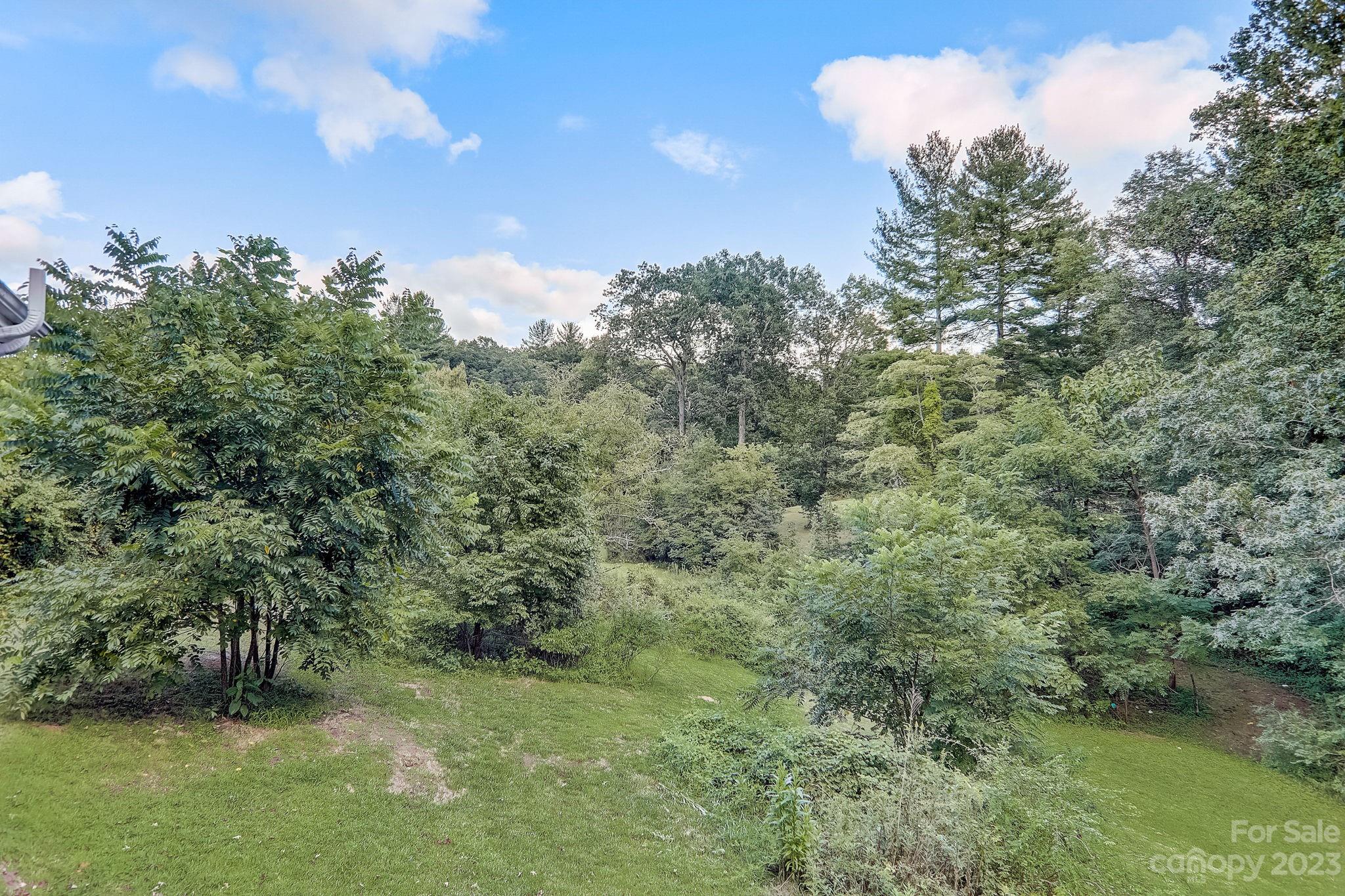 290 Upper Brush Creek Road Fletcher, NC 28732 - Photo 31 of 48 a view of a forest with trees in front of it
