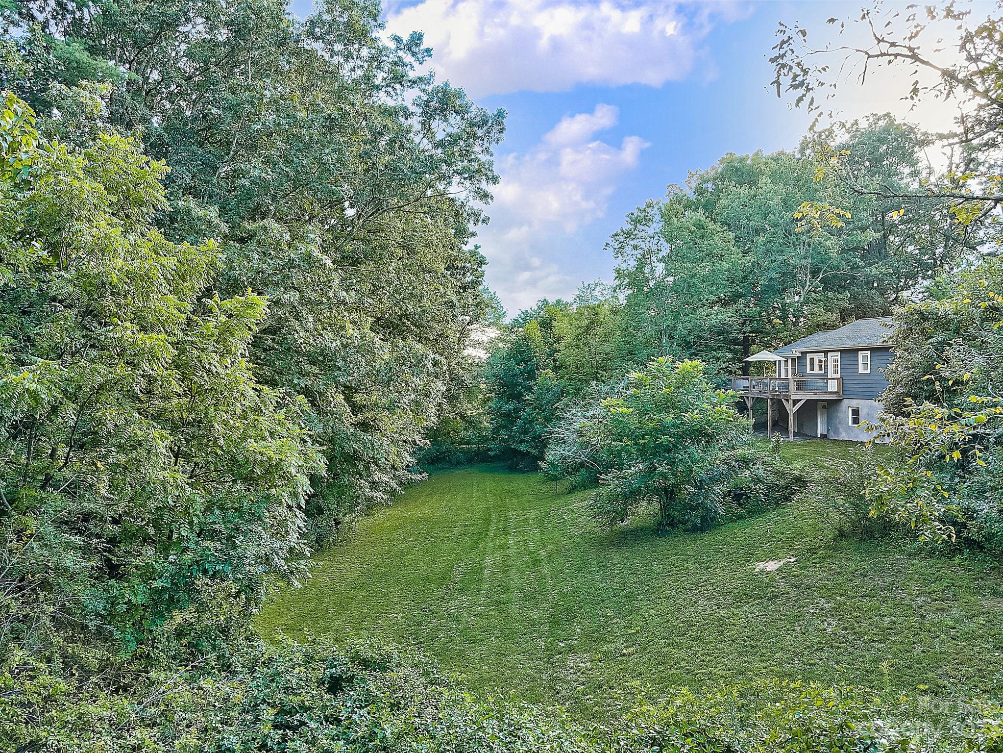 290 Upper Brush Creek Road Fletcher, NC 28732 - Photo 45 of 48 a view of a lush green forest