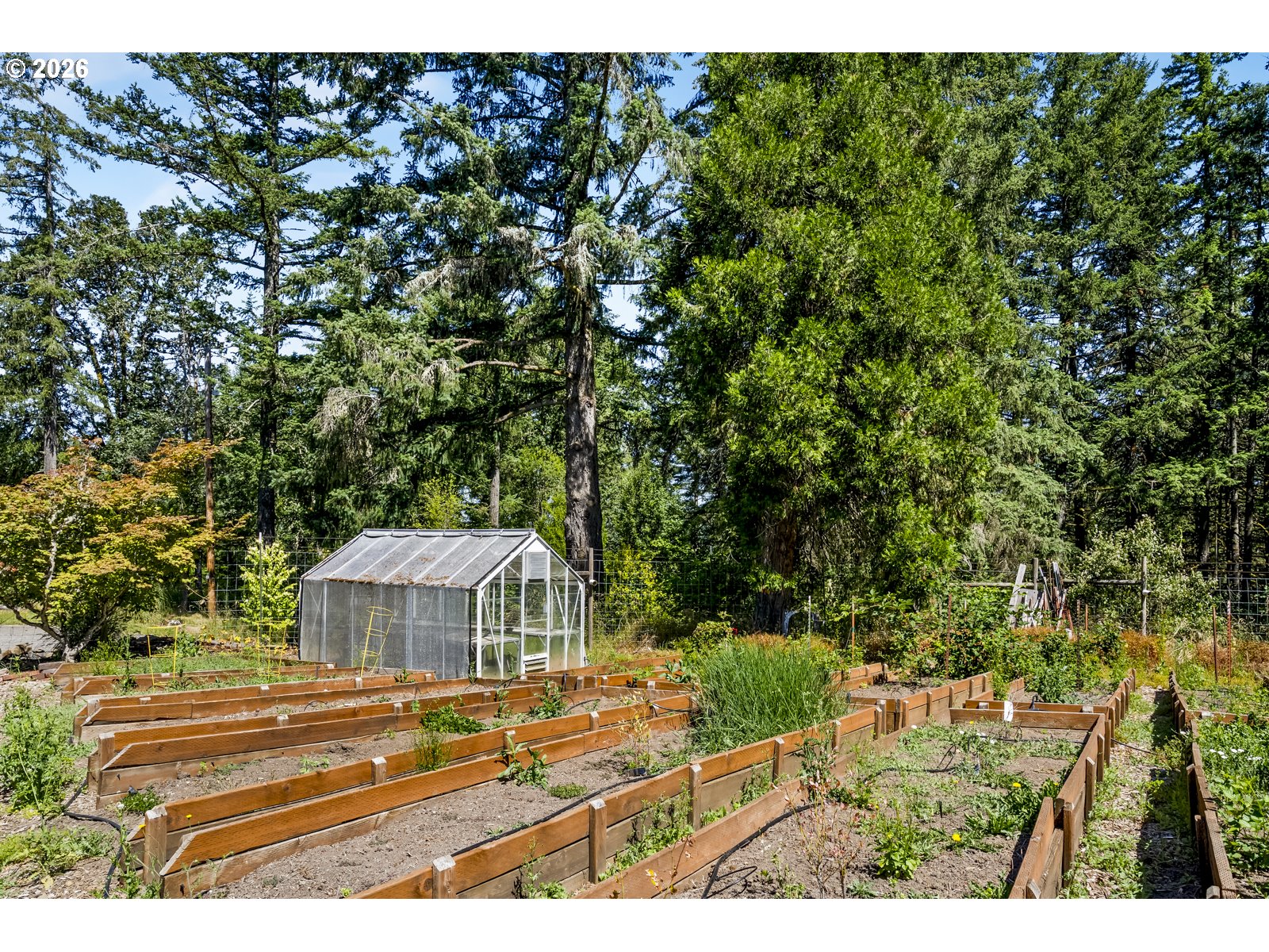 17340 Northeast Woodland Loop Road Yamhill, OR 97148 - Photo 40 of 46 Greenhouse