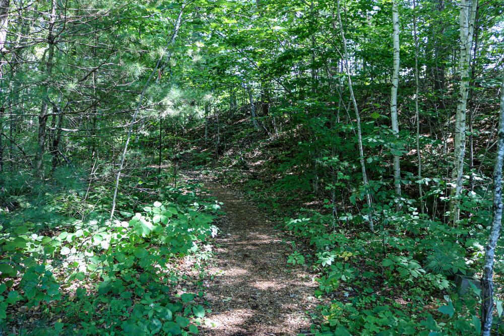 59 Richards Road Windham, ME 04062 - Photo 36 of 38 IMG_9085