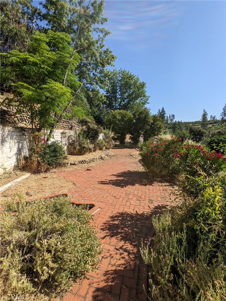 1880 Stearns Road Paradise, CA 95969 - Photo 11 of 32 a view of a yard with a tree