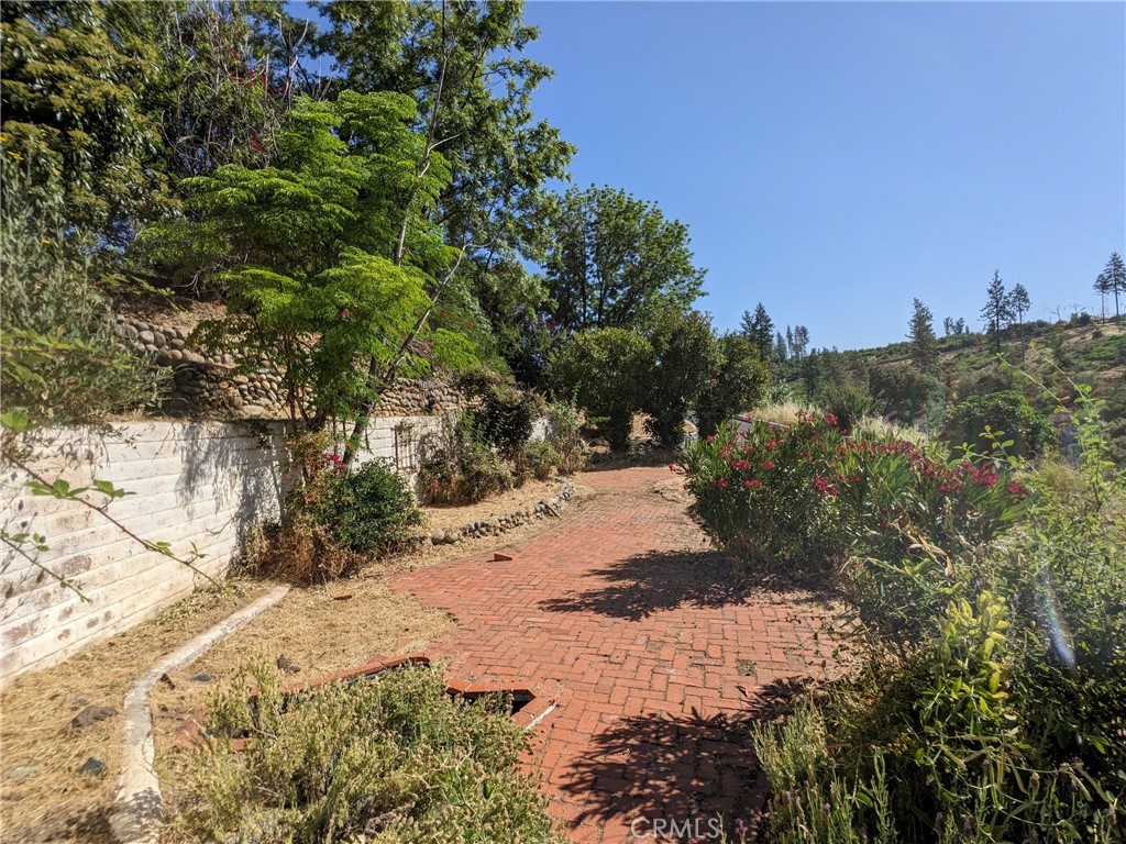 1880 Stearns Road Paradise, CA 95969 - Photo 12 of 32 a view of a tree with a yard