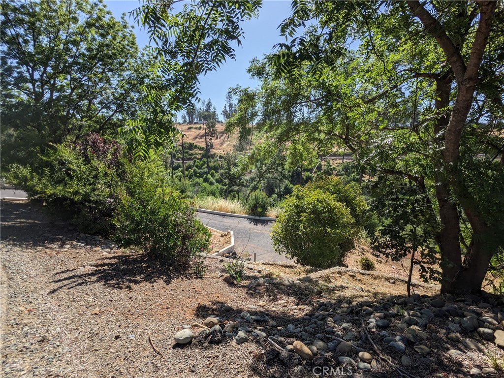 1880 Stearns Road Paradise, CA 95969 - Photo 18 of 32 a view of a yard with plants and trees