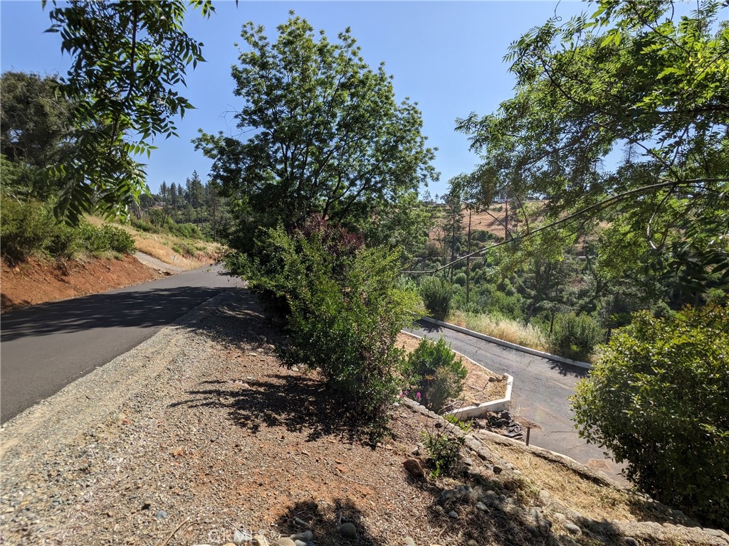 1880 Stearns Road Paradise, CA 95969 - Photo 19 of 32 a view of a yard with plants and trees