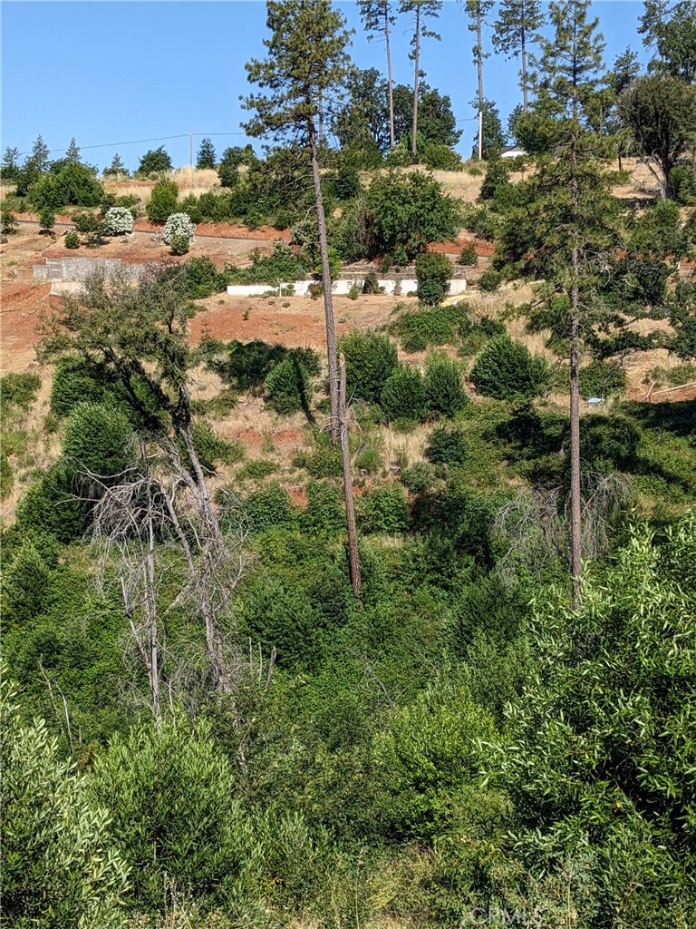 1880 Stearns Road Paradise, CA 95969 - Photo 20 of 32 a view of a lake view