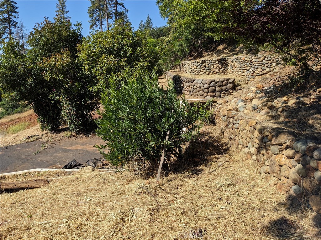 1880 Stearns Road Paradise, CA 95969 - Photo 2 of 32 a view of a yard with trees
