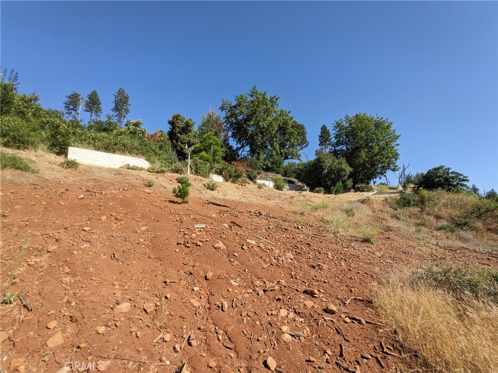 1880 Stearns Road Paradise, CA 95969 - Photo 22 of 32 a view of a yard with a tree