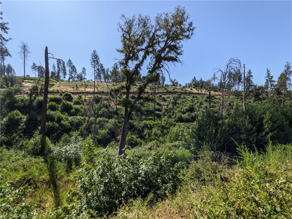 1880 Stearns Road Paradise, CA 95969 - Photo 26 of 32 a view of a city