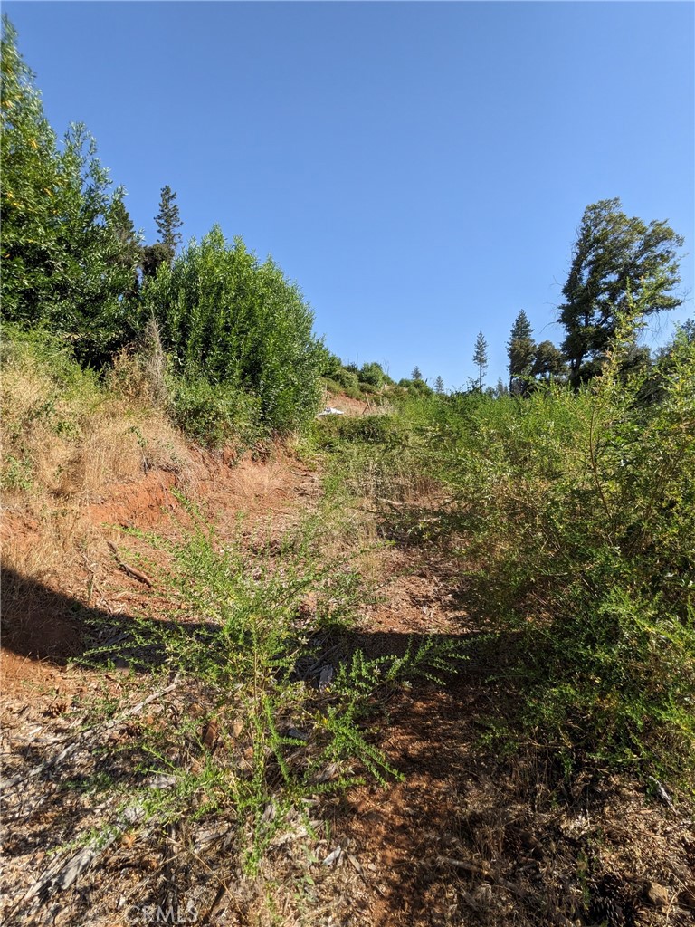 1880 Stearns Road Paradise, CA 95969 - Photo 28 of 32 a view of a field with an ocean