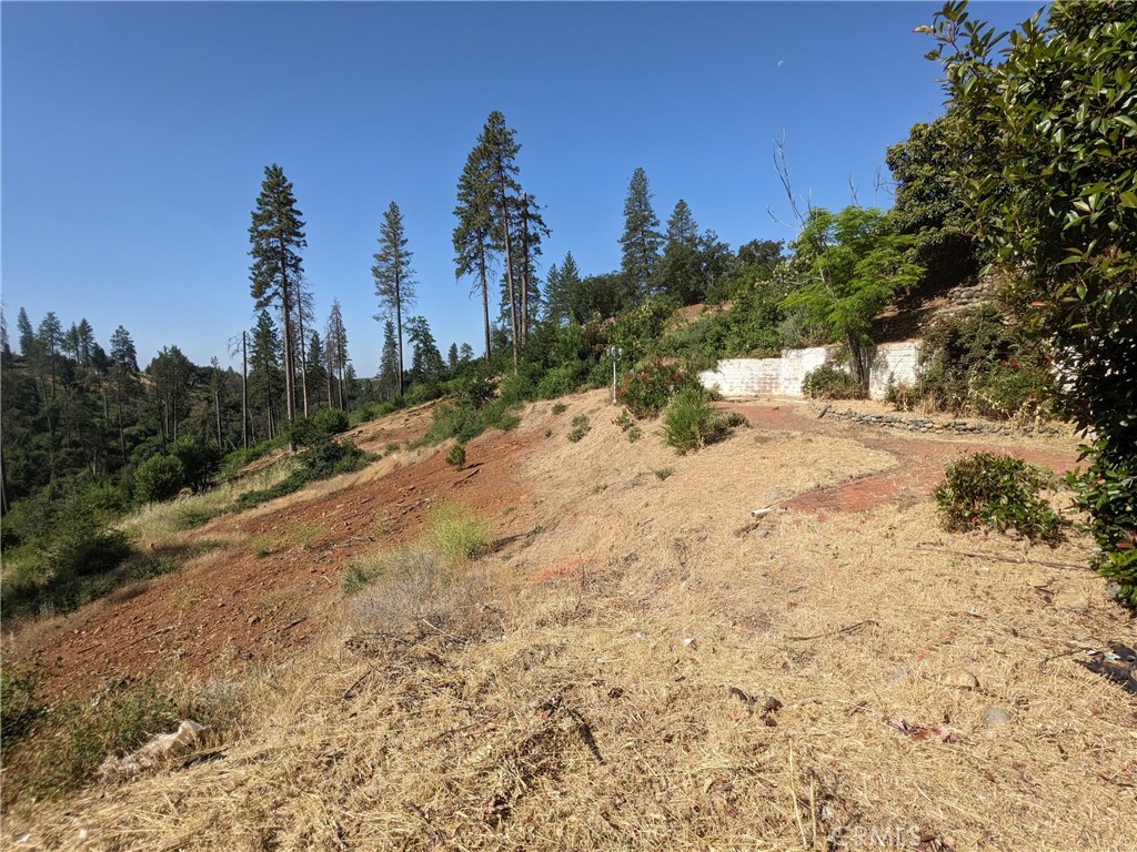 1880 Stearns Road Paradise, CA 95969 - Photo 4 of 32 a view of a dry yard with trees