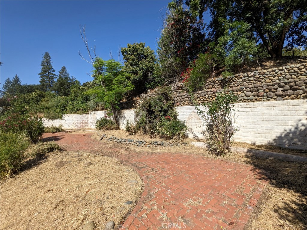 1880 Stearns Road Paradise, CA 95969 - Photo 5 of 32 a view of a yard with trees