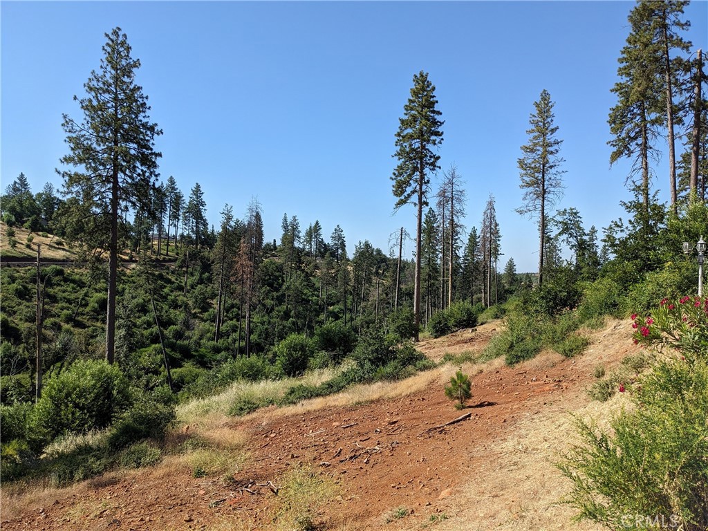1880 Stearns Road Paradise, CA 95969 - Photo 6 of 32 a view of a road with a trees in the background