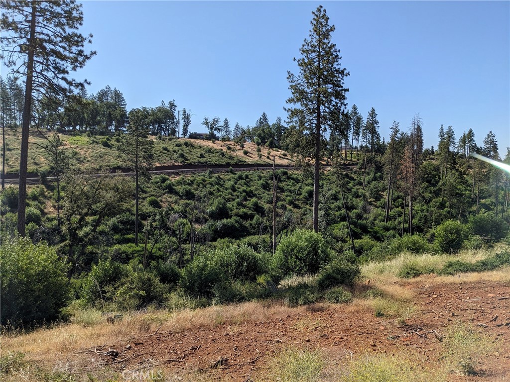 1880 Stearns Road Paradise, CA 95969 - Photo 7 of 32 a view of a forest with trees in the background